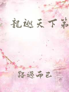 龙巡天下第四部