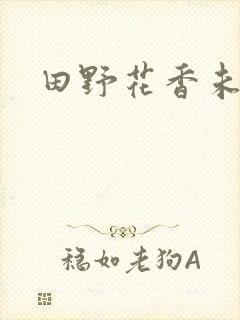 田野花香未删节