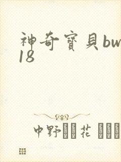 神奇宝贝bw118