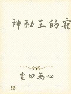 神秘王的宠姬