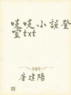 吱吱小说登堂入室txt