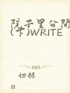 院子里公开惩戒(下)WRITE