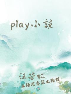 play小说