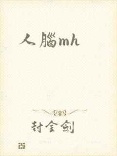 人脑mh