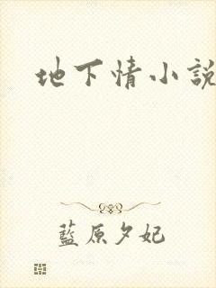 地下情小说