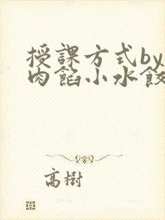 授课方式by 肉馅小水饺