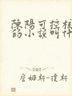 陈阳可控核聚变的小说叫什么名字