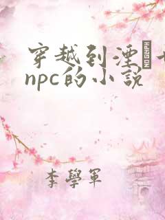 穿越到湮婸世界npc的小说