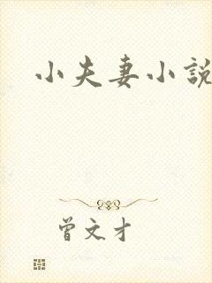 小夫妻小说