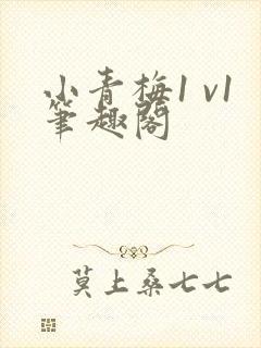 小青梅1 v1笔趣阁