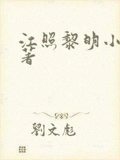 江照黎明小说原著