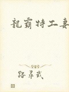 龙霸特工妻
