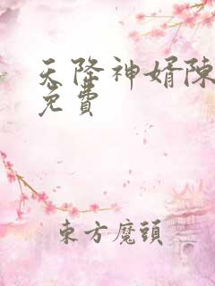 天降神婿陈黄皮免费