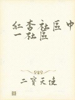 红杏社区中文第一社区