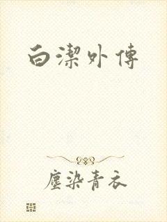 白洁外传
