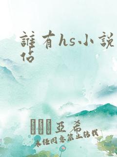 谁有hs小说网站