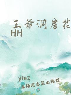 王爷洞房花烛夜HH