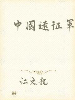 中国远征军下载