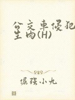 公交车侵犯小男生肉(H)