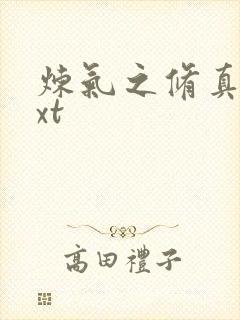 炼气之修真者txt