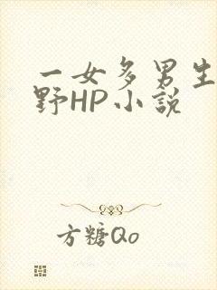 一女多男生活狂野HP小说