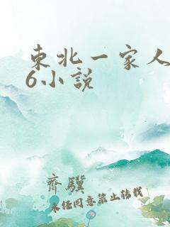 东北一家人1一6小说