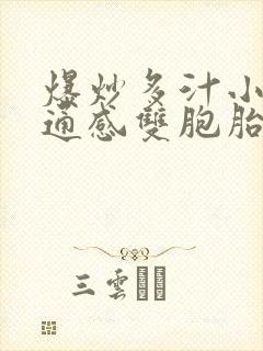 爆炒多汁小美人通感双胞胎