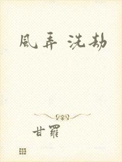 风弄 洗劫