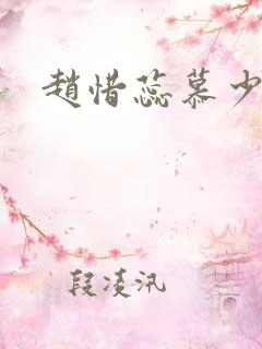 赵惜蕊慕少辞