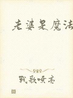 老婆是魔法少女