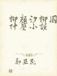 柳颜汐柳国安是什么小说