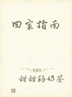 回家指南