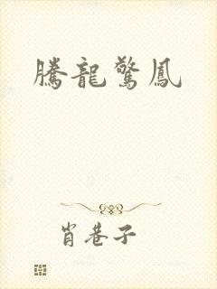 腾龙惊凤