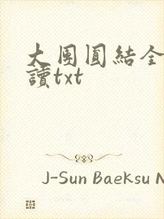 大团圆结全文阅读txt