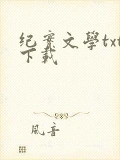 纪实文学txt下载