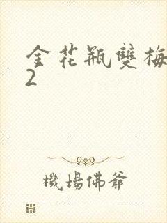 金花瓶双梅花12