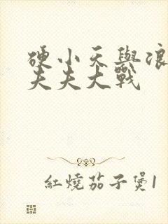 硬小天与浪小辉夫夫大战