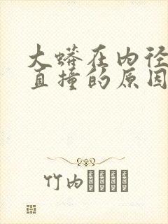 大蟒在内径横冲直撞的原因