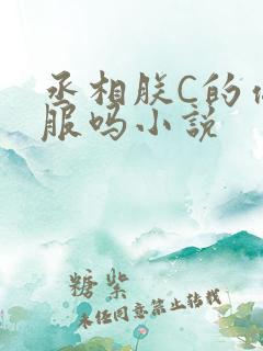 丞相朕C的你舒服吗小说