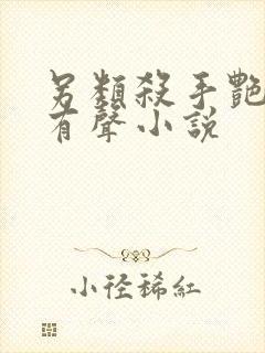 另类杀手艳福星有声小说