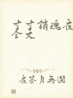 寸寸销魂夜春光全文