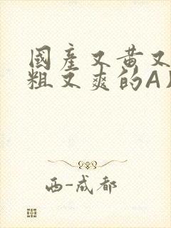 国产又黄又猛又粗又爽的A片小说