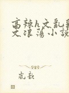 高辣h文乱乳h文浪荡小说txt