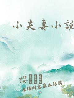 小夫妻小说