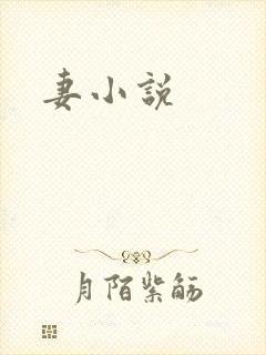 妻小说