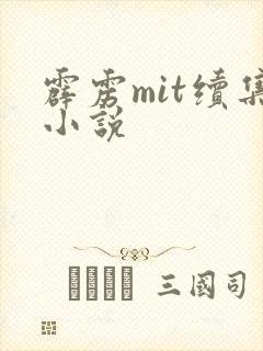 霹雳mit续集小说