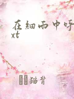 在细雨中呼喊txt