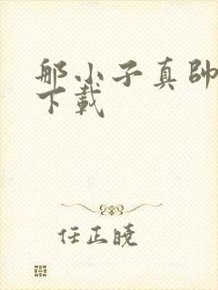 那小子真帅小说下载