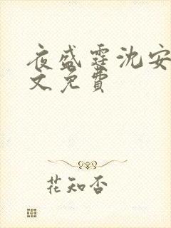夜盛霆沈安然全文免费
