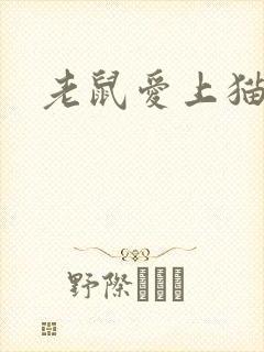 老鼠爱上猫下载